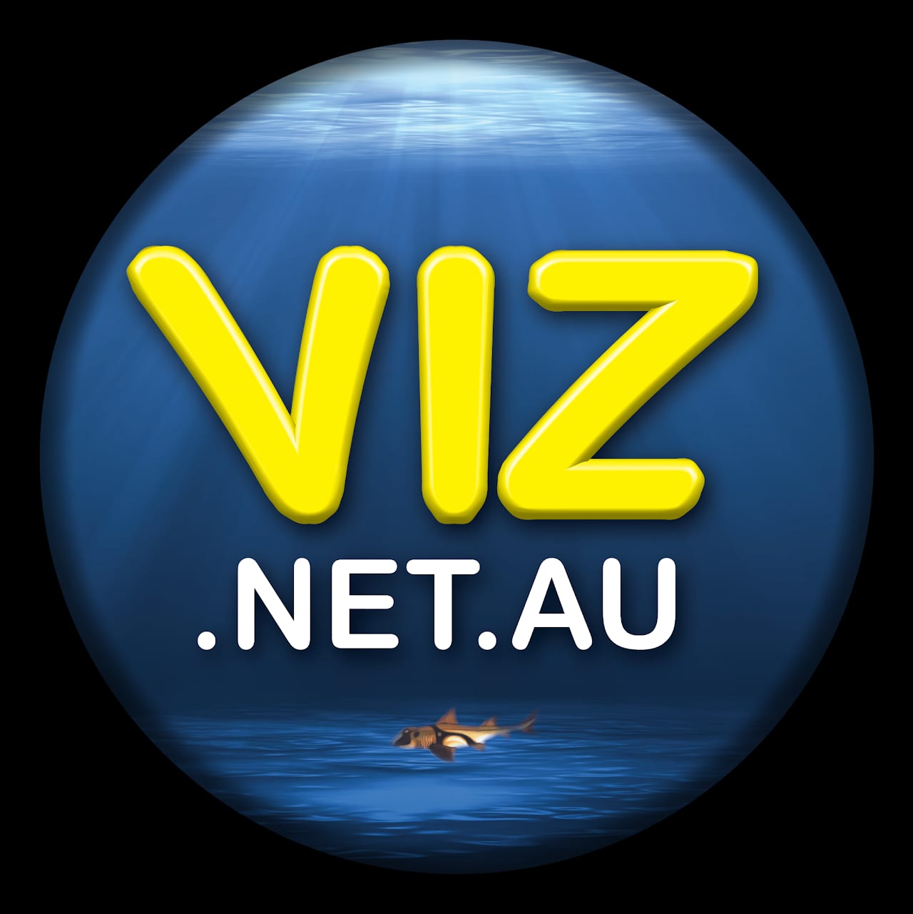 VIZ