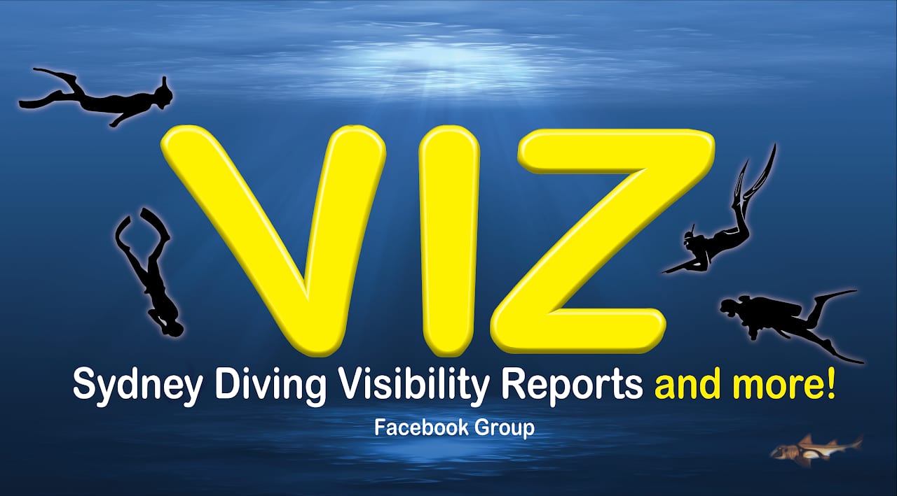 The VIZ group on Facebook