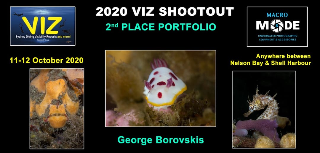 Photo Shootout 2020
