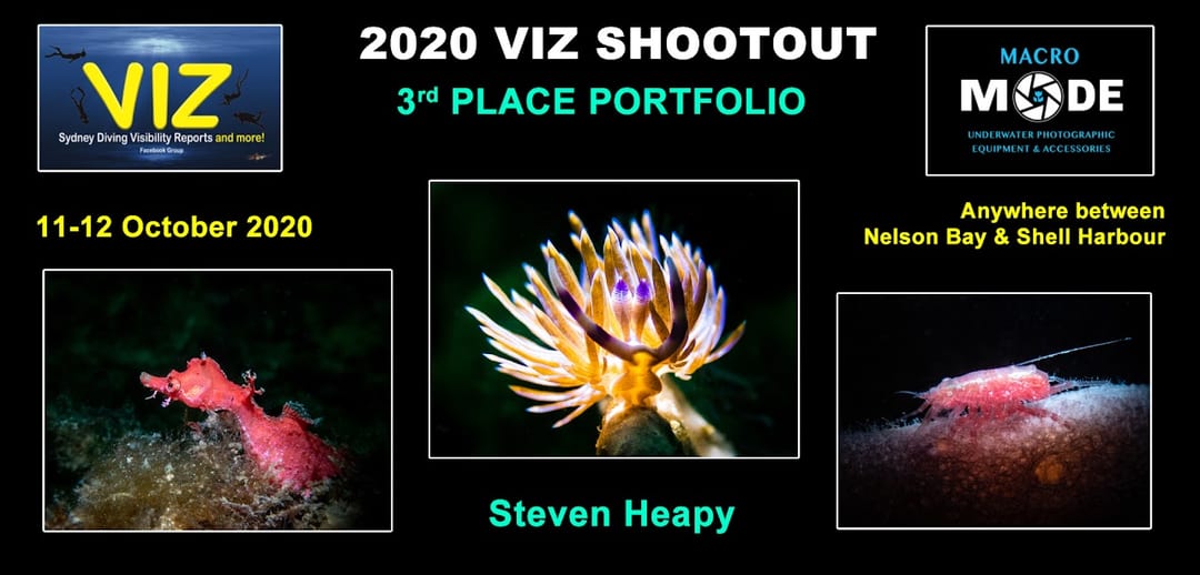 Photo Shootout 2020