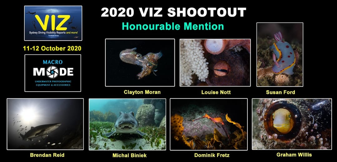 Photo Shootout 2020