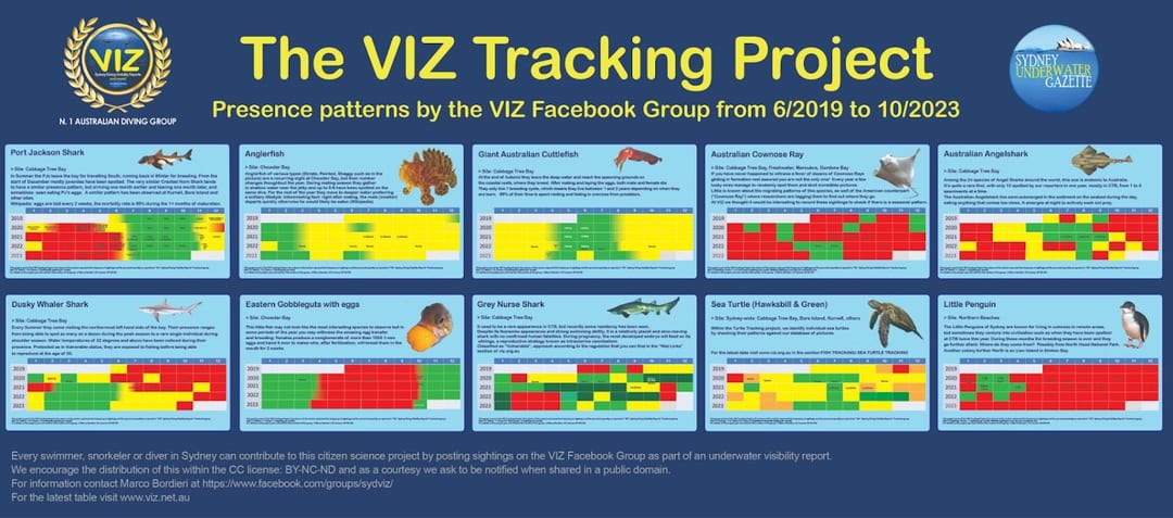 VIZ tracking project