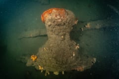TSS Currajong shipwreck