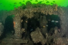 TSS Currajong shipwreck