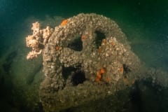 TSS Currajong shipwreck