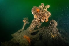 TSS Currajong shipwreck