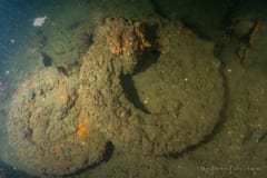 SS Centennial shipwreck