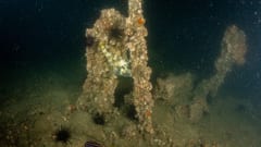 SS Centennial shipwreck