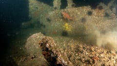 SS Centennial shipwreck