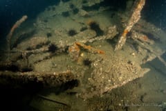 SS Centennial shipwreck