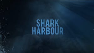 The words SHARK HARBOUR in bold pale-blue capitals, set over a dark underwater scene with shafts of light falling through blue-green water above a shadowy rocky bottom.