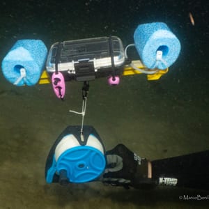 A yellow float rigged with blue buoyancy floats carrying a GPS unit in a clear waterproof case, tethered on a line above a diver.