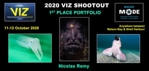 A results poster on a black background headed "2020 VIZ Shootout — 1st Place Portfolio", dated 11-12 October 2020, carrying the VIZ and Macromode logos and the winner's name, Nicolas Remy. Below sit three of his underwater photographs: a pale cuttlefish swimming against vivid green water, the wart-covered face of a dark frogfish staring head-on, and a Port Jackson shark lifting off pale sand with its pink belly and spread pectoral fins turned towards the camera.