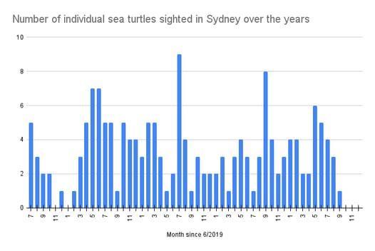 Sea turtle tracking