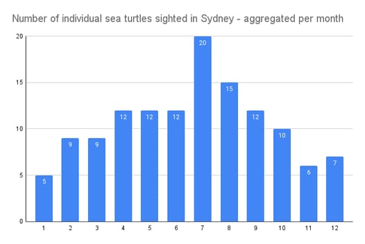 Sea turtle tracking